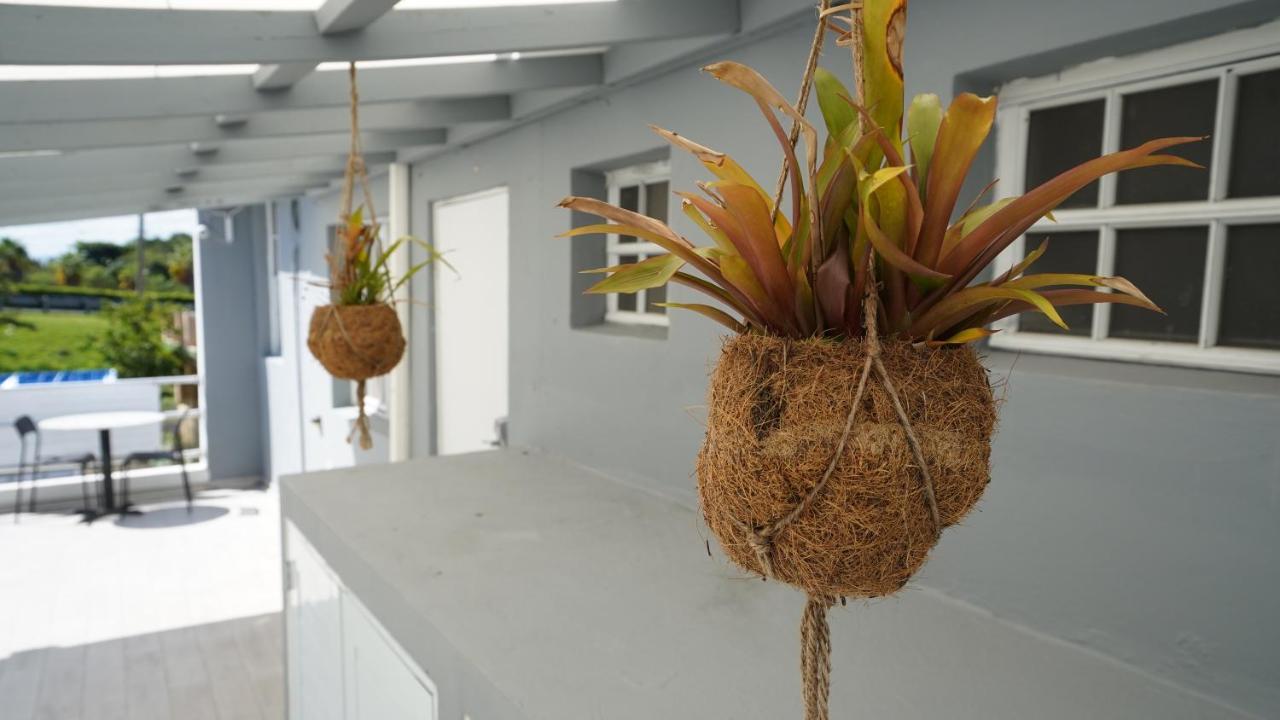 The Pelican Poshtel 圣胡安 外观 照片